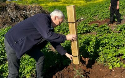 „Neujahrsfest der Bäume“