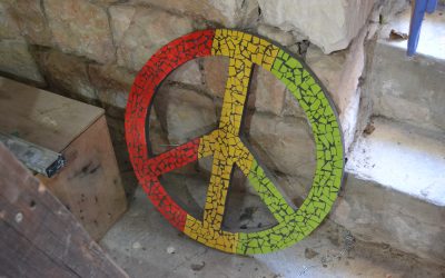 Aktueller Lagebericht aus DVHL-Einrichtungen