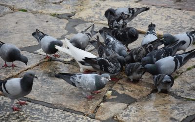 Leser-Aktion: „Was mir Hoffnung macht“