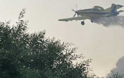 Ein heißer Sommer in Tabgha