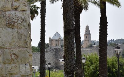 Drei Monate in der Dormitio-Abtei