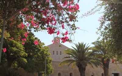 Aus Solidarität mit den Christen des Heiligen Landes