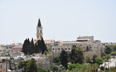 Kleiner Riss im Felsen der Verzweiflung