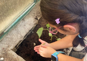 Das Bild zeigt Dr. Sarah Bernstein, die Direktorin des Rossing-Centers für Dialog und Verstädndigung in Jerusalem.