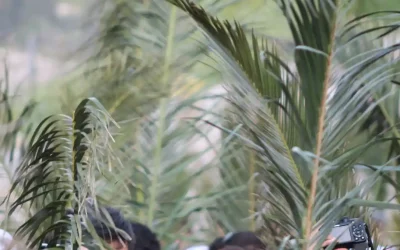Domradio berichtet über die Palmsonntagskollekte